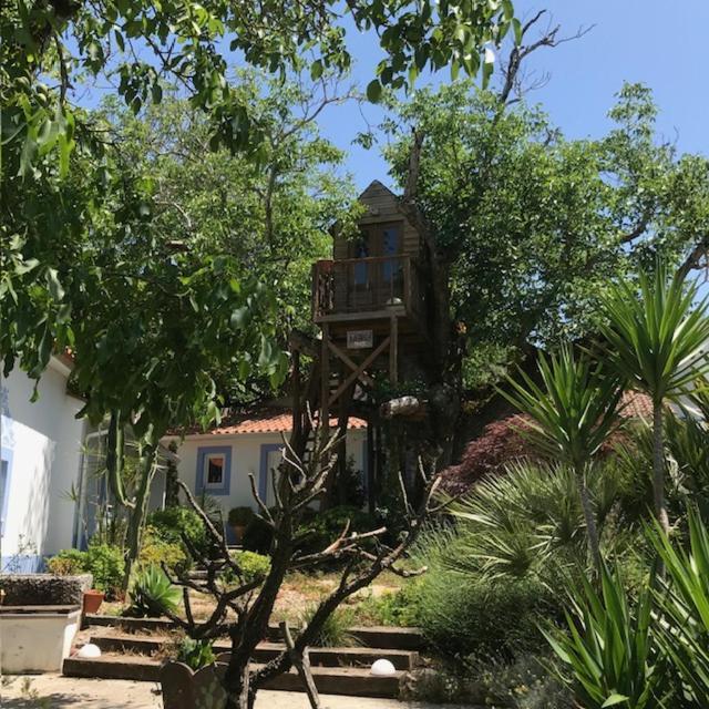 Porto de Mós Casa Oliva - Casa Da Serra מראה חיצוני תמונה