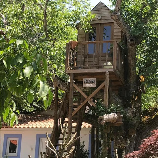 Porto de Mós Casa Oliva - Casa Da Serra מראה חיצוני תמונה