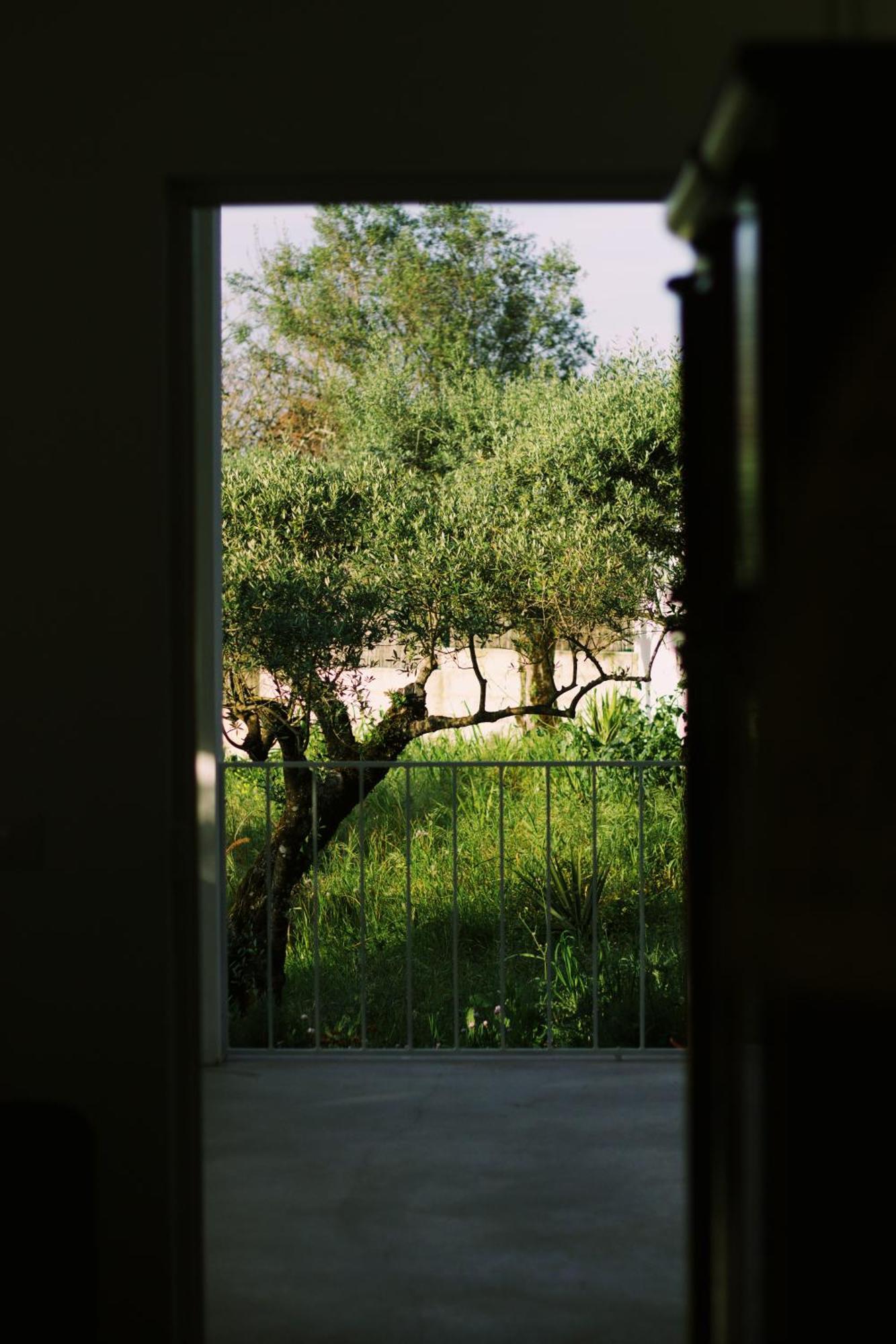 Porto de Mós Casa Oliva - Casa Da Serra מראה חיצוני תמונה